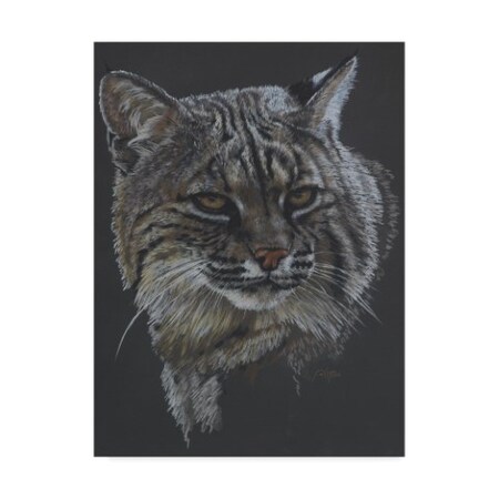 Trademark Fine Art
